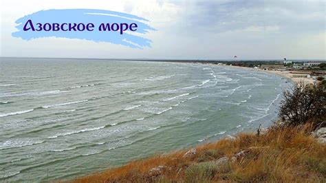 Азовское море: излюбленное место вылова популярной рыбы