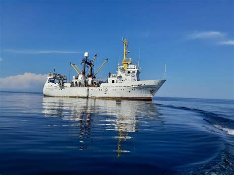 Актуальное состояние популяции Муксуна в Белом и Баренцевом морях