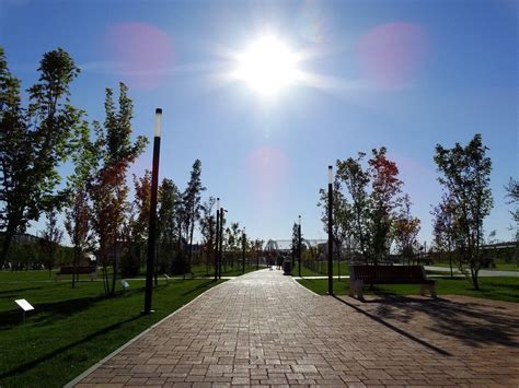 Аллеи Парка Победы: скорость, ветер и впечатления