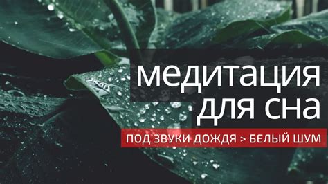 Альтернативные способы использования мяты для улучшения качества сна
