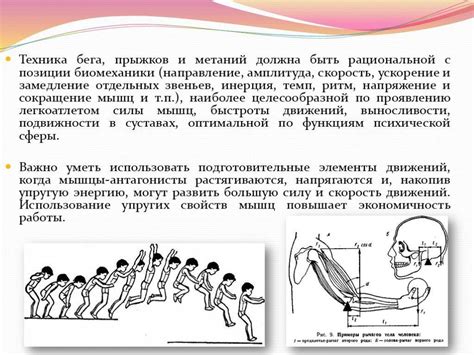 Анализ движений и различение их элементов