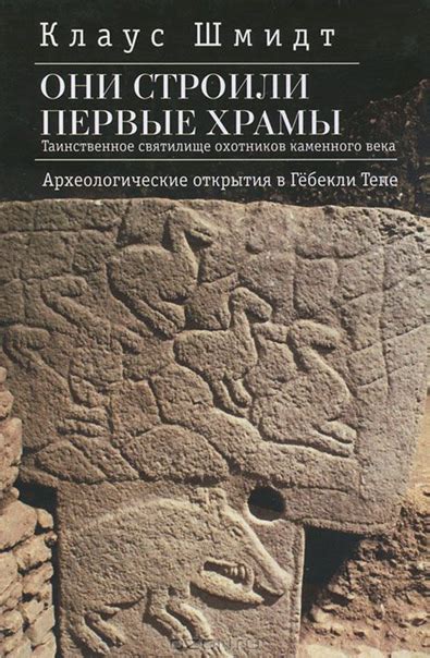 Археологические открытия в густом лесу: поиск давней истории