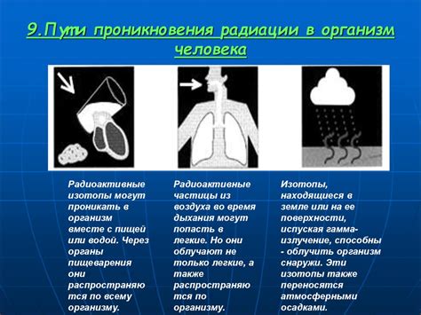 Атмосферное давление: влияние на окружающую среду и жизнь человека