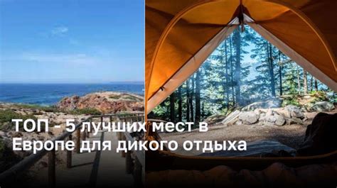 Бамбук в Сибири: потенциал использования уникального природного ресурса