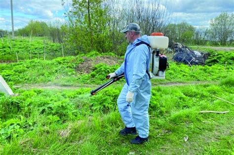 Безопасность при взаимодействии с опасным растением