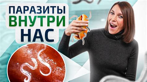 Безопасные методы устранения паразитов на виолах в условиях дома