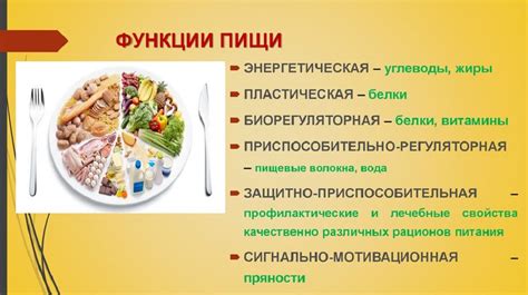 Белки, жиры и углеводы в составе ливерной колбасы