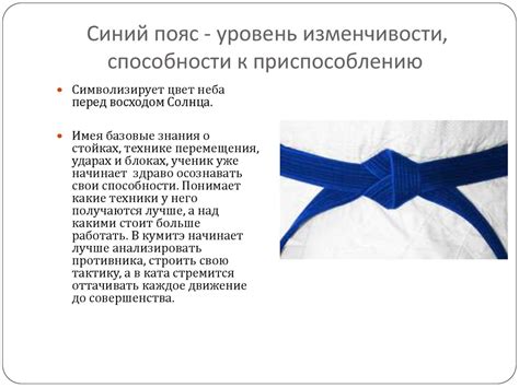 Белый пояс в каратэ: символика и значение