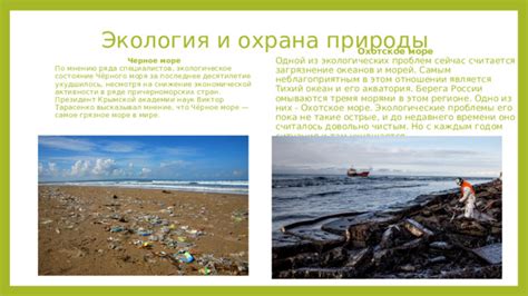 Биологическое богатство Японских морей и его охрана