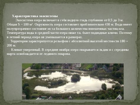 Биоразнообразие окружающего озера