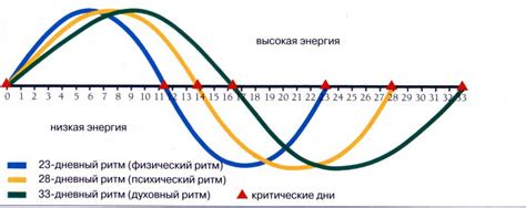 Биоритмы и небесные циклы: как согласовать свою энергию с космическими ритмами