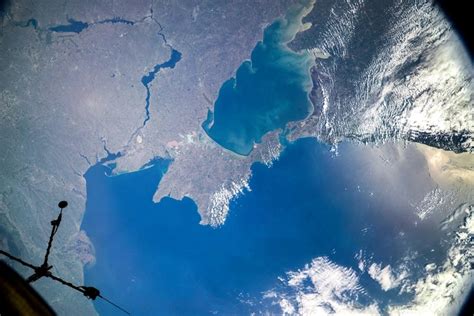 Важнейший источник присутствия скумбрии в российских водах - Черное море