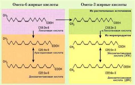 Важность Омега-3 жирных кислот в составе крабовых стержней
