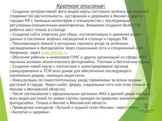 Важность зелёных насаждений для экологического баланса и качества жизни человека