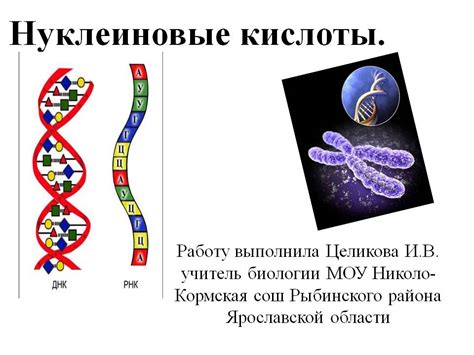 Важность фосфора в процессе формирования молекул ДНК и РНК
