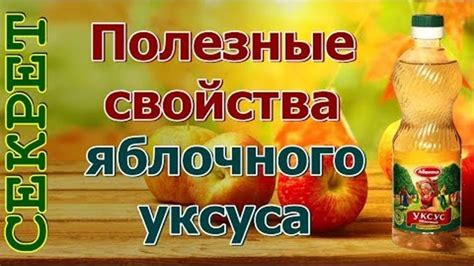 Важность яблочного уксуса в пельменях: полезные свойства и преимущества