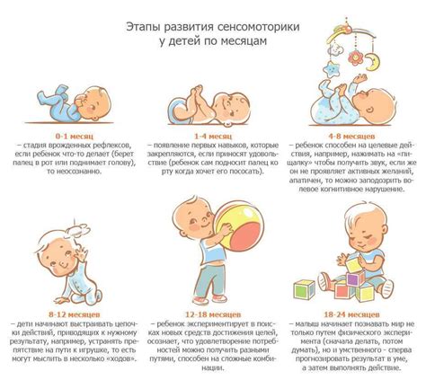 Важные этапы подготовительной деятельности