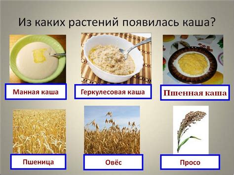 Варианты замены классической каши на другие альтернативы при грудном вскармливании