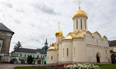 Вариации лавра в России и их уникальные черты