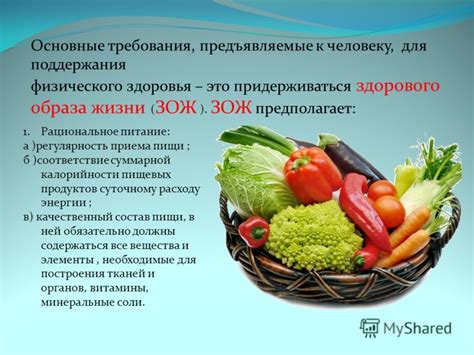 Вегетарианские варианты приема пищи для поддержания здорового образа жизни