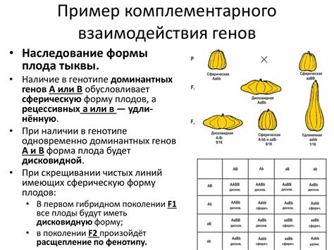 Взаимодействие генетики и окружающей среды в формировании личностных черт
