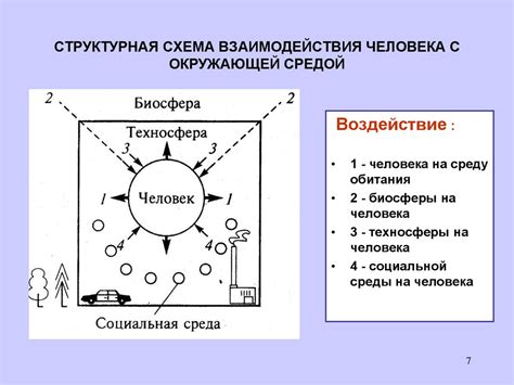 Взаимодействие между человеком и окружающей средой: разнообразие проявлений сопереживания