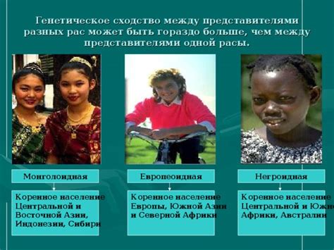 Вклад генетики в сходство между представителями человеческого вида и животным миром в ОГЭ