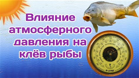 Влияние атмосферного давления на активность рыбы в холодное время года