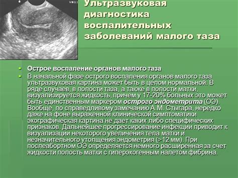 Влияние березового сока на функционирование репродуктивной системы у женщин