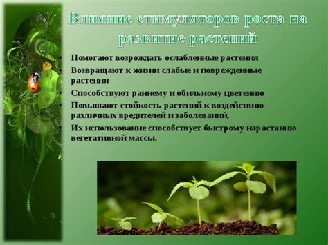Влияние биологического пола растений на стойкость к заболеваниям и нападению вредителей