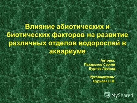 Влияние внешних факторов на активность водорослей: факты и обобщения