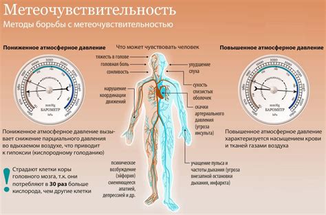 Влияние высоты и давления воздушного пространства на физиологические процессы организма