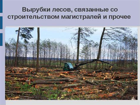 Влияние деятельности человека на распространение мощных дубовых лесов