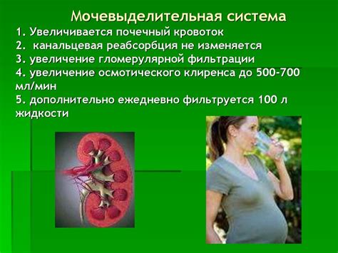 Влияние малиновых листьев на организм женщины во время беременности
