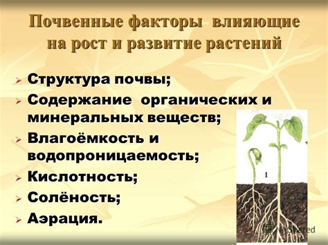 Влияние минеральных соединений на рост и развитие растений и почвы