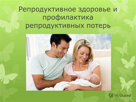Влияние момента выполнения операции по удалению репродуктивных органов на здоровье питомца