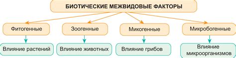 Влияние окружающей среды на формирование руковой преимущественности
