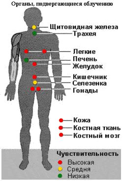Влияние патологий органов на здоровье человека