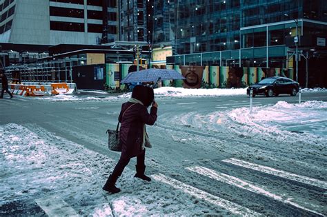 Влияние погодных условий на работу в лесу и безопасность трудящихся