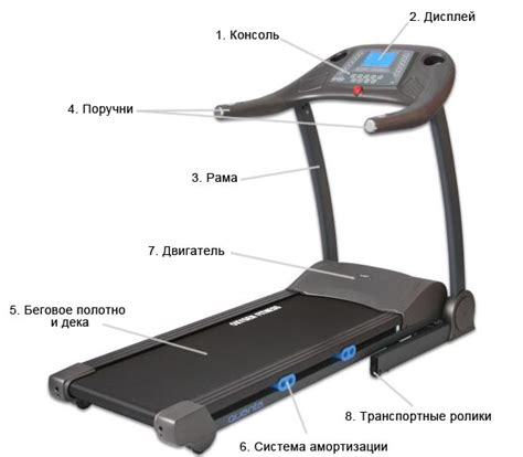 Влияние расположения беговой дорожки на ковер: факторы, которые важно учитывать