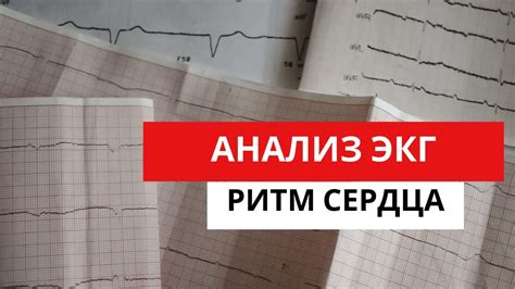 Влияние сниженного показателя ритма сердца на здоровье питомца
