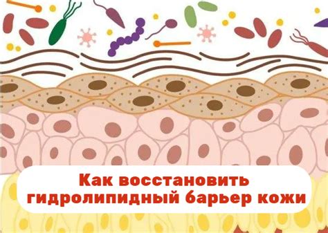 Влияние соленой воды на естественный барьер кожи