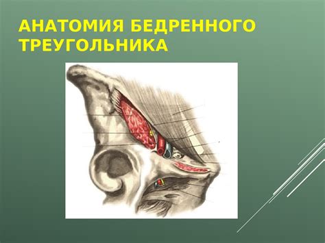 Влияние спаня на твердой поверхности при наличии грыжи: плюсы и минусы