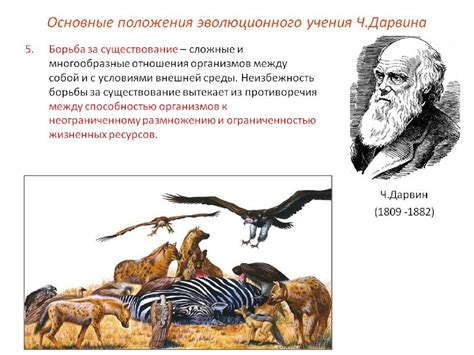Влияние теории эволюции Дарвина на различные области науки и общество
