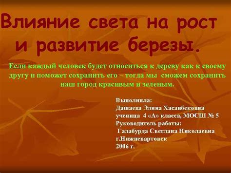 Влияние удаления верхушки на рост и развитие березы