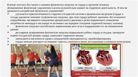 Влияние физических нагрузок на работу сердечной системы