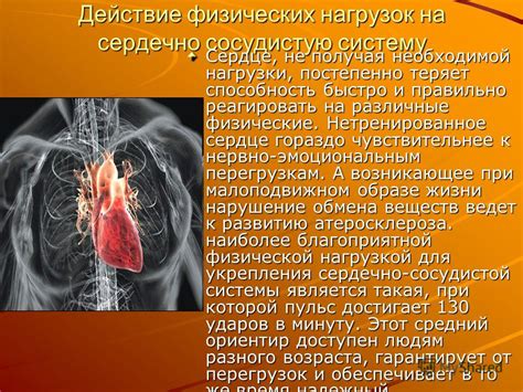 Влияние физической активности на обмен газами в организме: воздействие на дыхательную систему