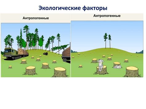 Влияние эмоциональных аспектов на созидание связи с окружающей средой