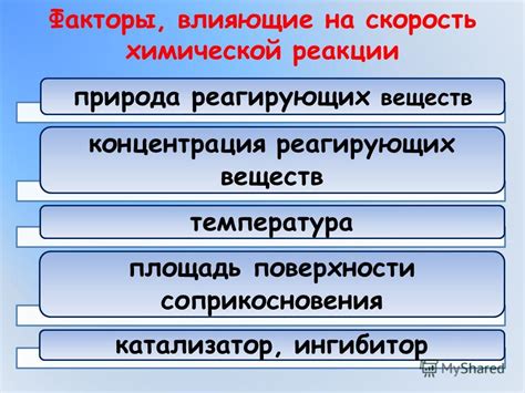 Влияющие факторы на скорость привыкания собаки к своим новым хозяевам
