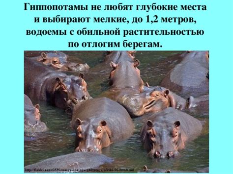 Водоемы с наиболее обильной рыбной популяцией